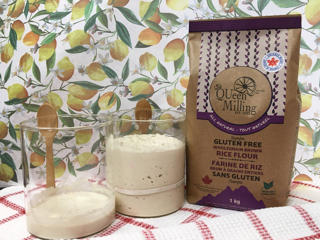 Sourdough starter first and last stage beside a bag of QUeen Milling Made in Canada Gluten Free Wholegrain Superfine Brown Rice Flour.